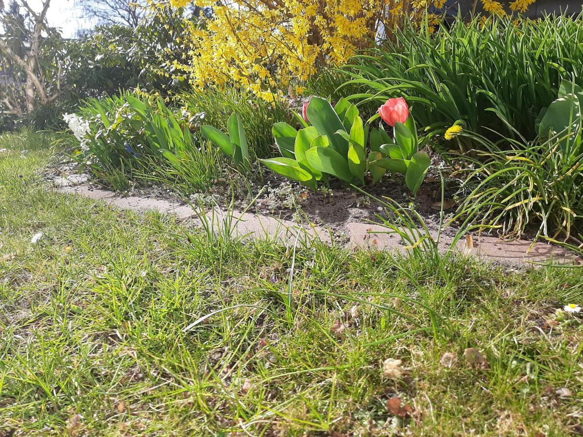Gartenblick Trebbin Eksteriør bilde